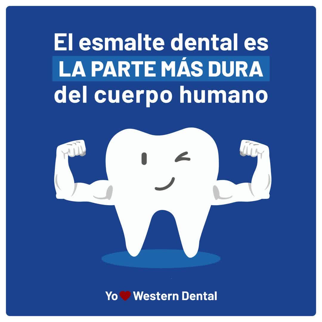 amoawesterndental_296437552_340468678167735_6701342456398072612_n.jpg